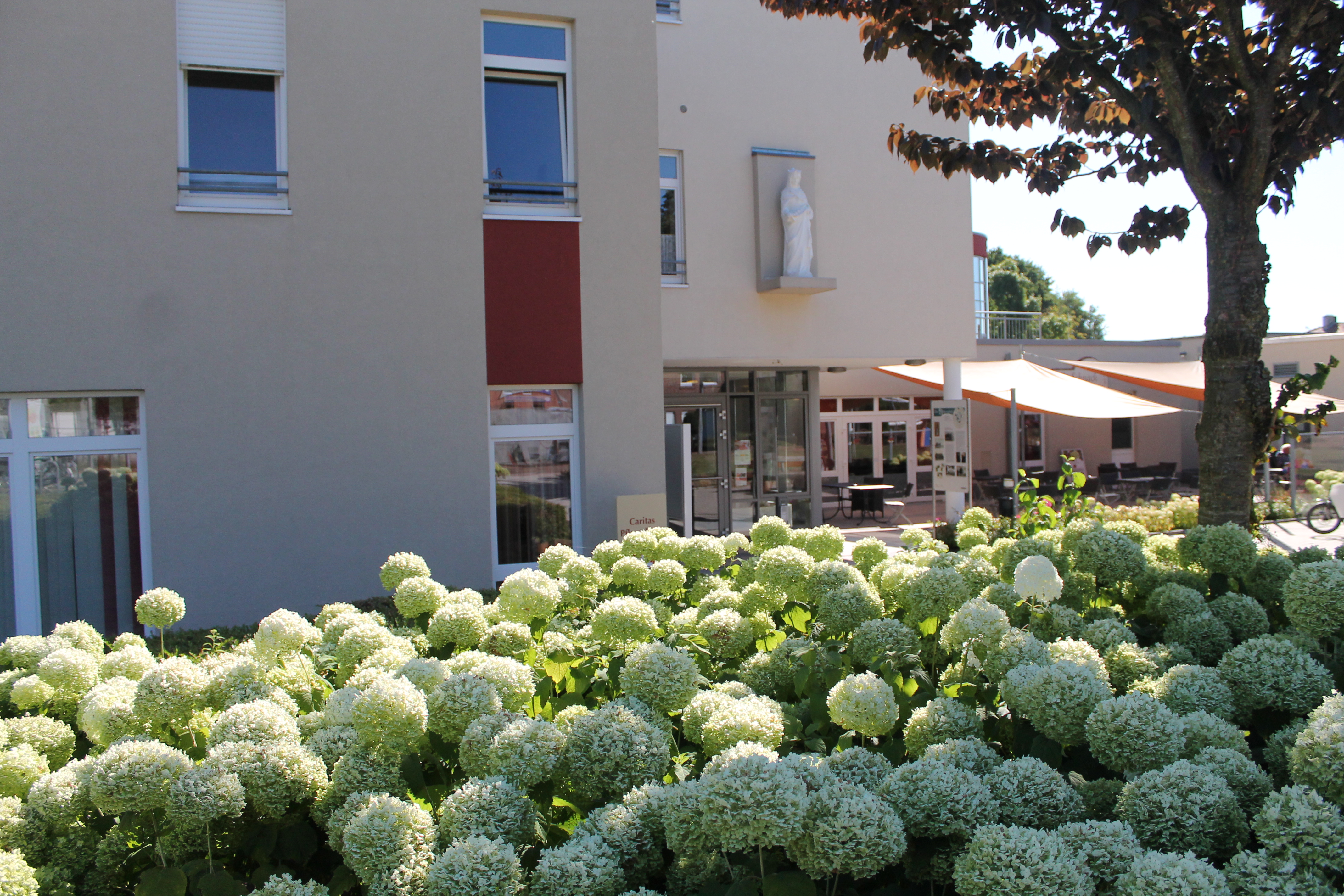 Alten- und Pflegezentrum
